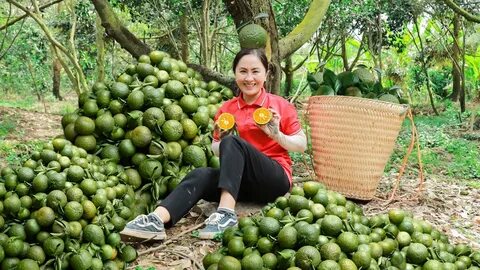 'Hành trình hạnh phúc' của Saigon Co.op lan tỏa niềm tự hào quê hương_Hiệu quả tiếp thị kỹ thuật số kênh